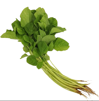 ডাটা শাক